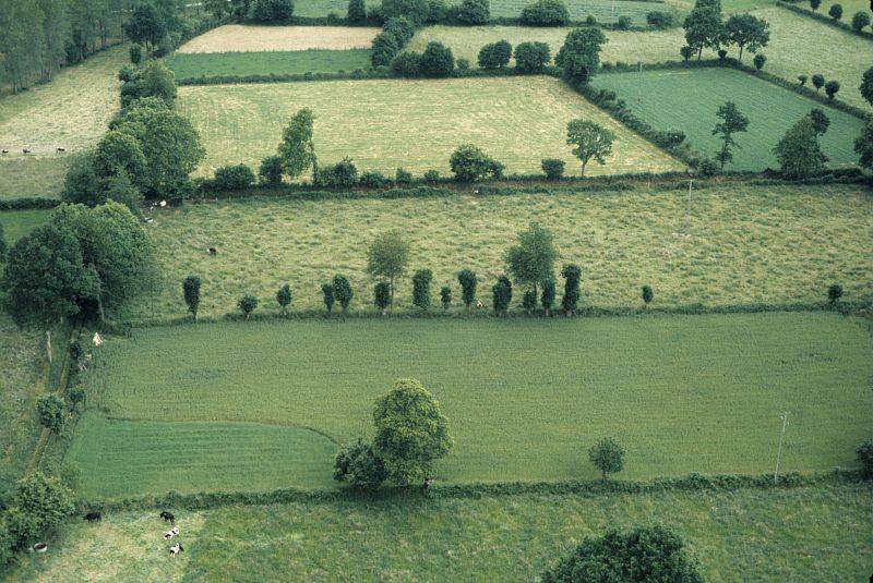 The complexity of an agricultural landscape: each component has an effect on pests and their natural enemies.