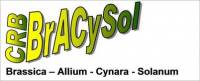 BrACySol Logo